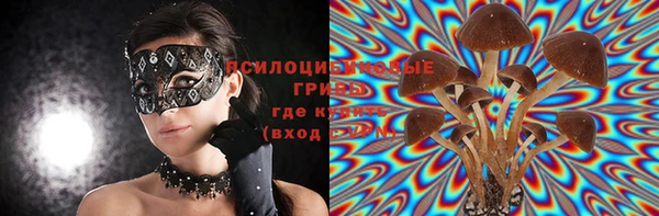молекула духа Балабаново
